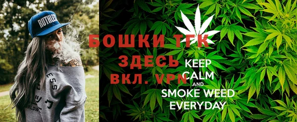 сатива Горно-Алтайск