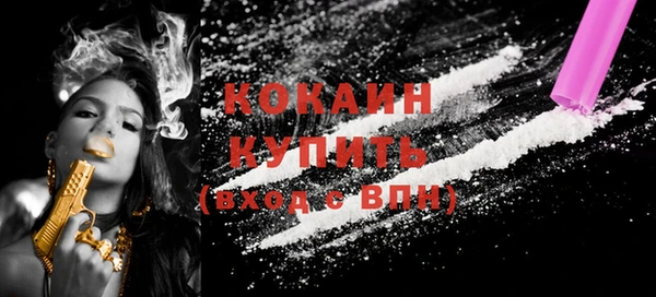 бошки Горняк