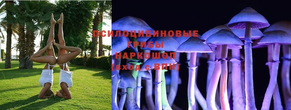 прущие крисы Горнозаводск