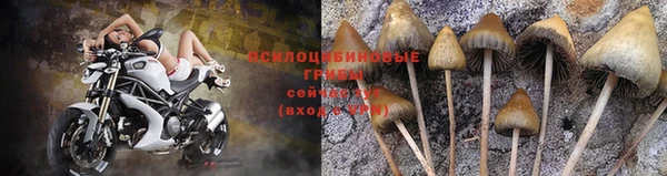 марки nbome Алапаевск