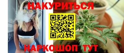гашик Будённовск