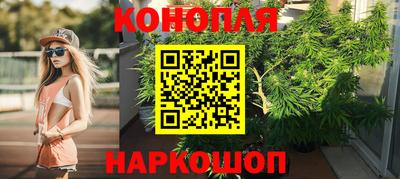 гашик Будённовск