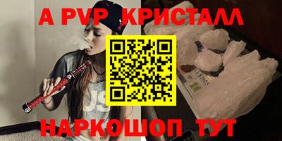 гашик Будённовск