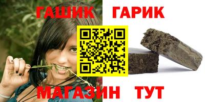 гашик Будённовск