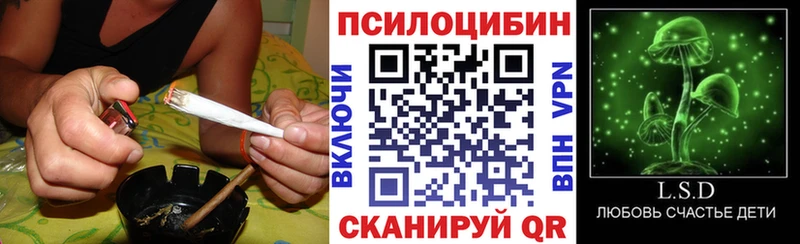 Галлюциногенные грибы Psilocybine cubensis  Гусь-Хрустальный 