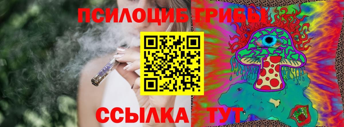 Галлюциногенные грибы Psilocybine cubensis Гусь-Хрустальный