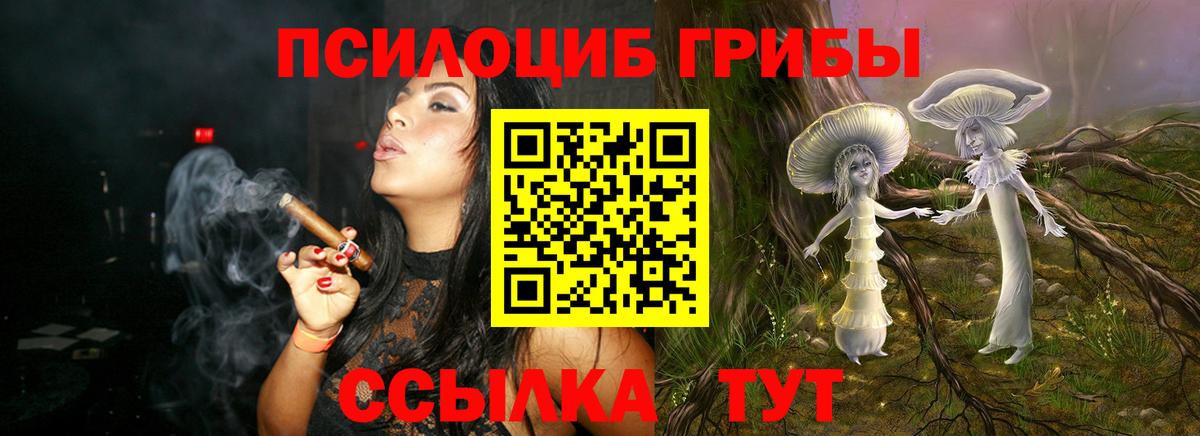 Галлюциногенные грибы Cubensis Гусь-Хрустальный