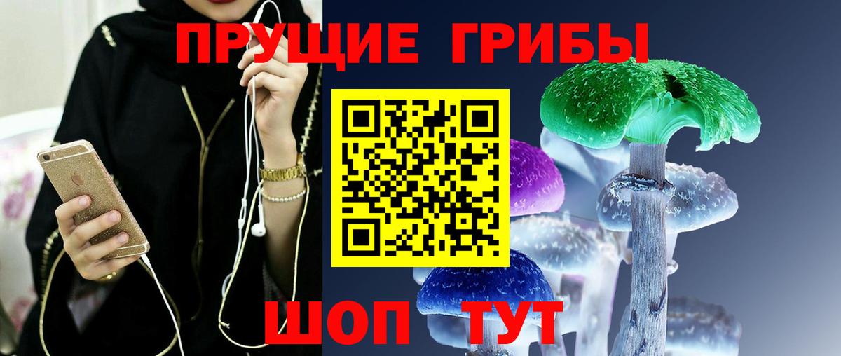 Галлюциногенные грибы Psilocybe  цены наркотик  Гусь-Хрустальный 