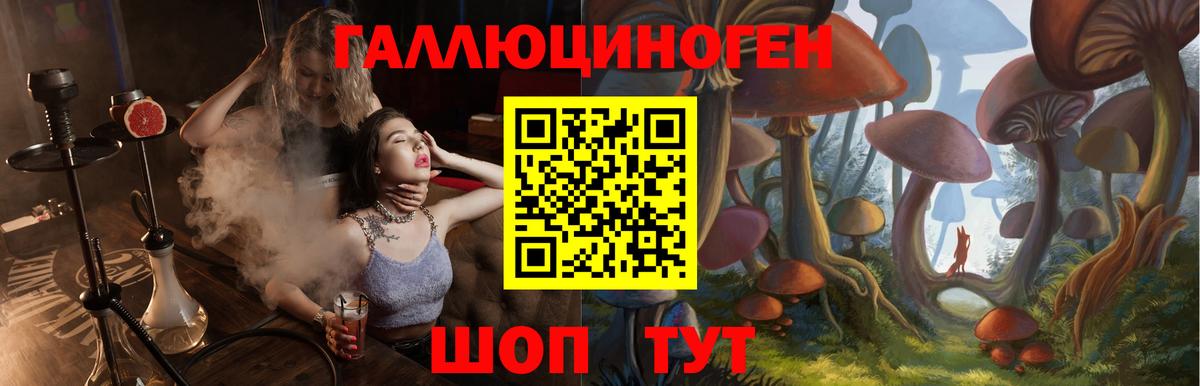 Псилоцибиновые грибы GOLDEN TEACHER  Вход с VPN  Гусь-Хрустальный 