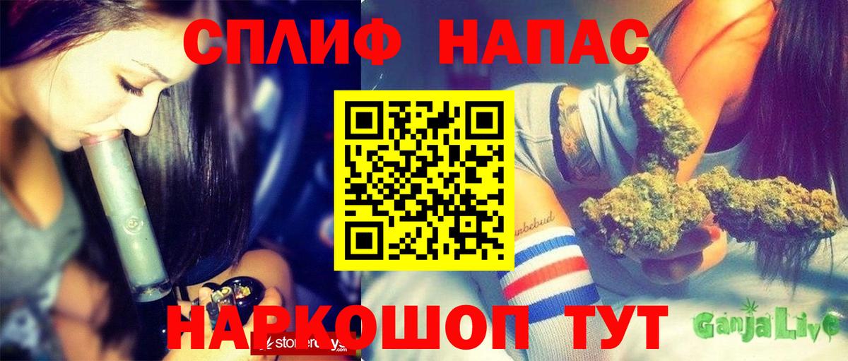 Бошки Шишки ГИДРОПОН Гусь-Хрустальный